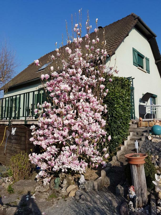 Le Nid Fleuri De Cravanche Eksteriør bilde